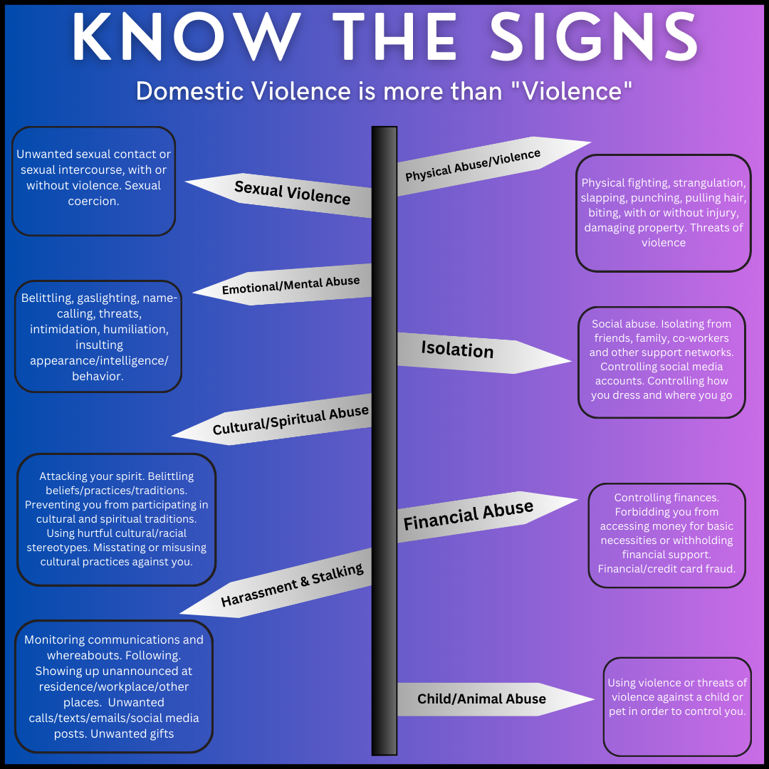 signs of domestic violence infographic
